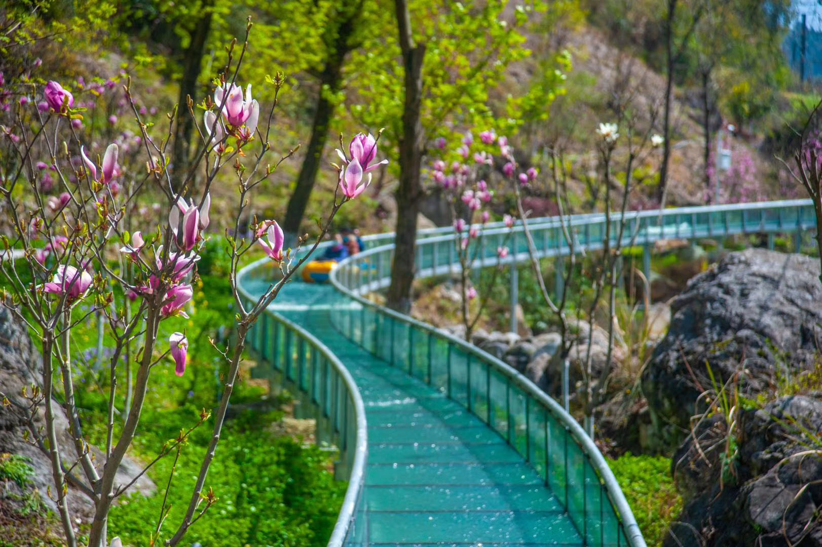 7.湖北省宜昌市朝天吼景区