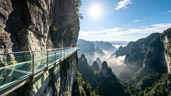 微信图片_20261021142348_354_3